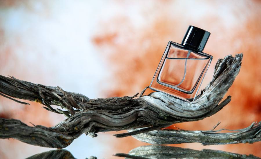 top 10 weltparfums fuer maenner